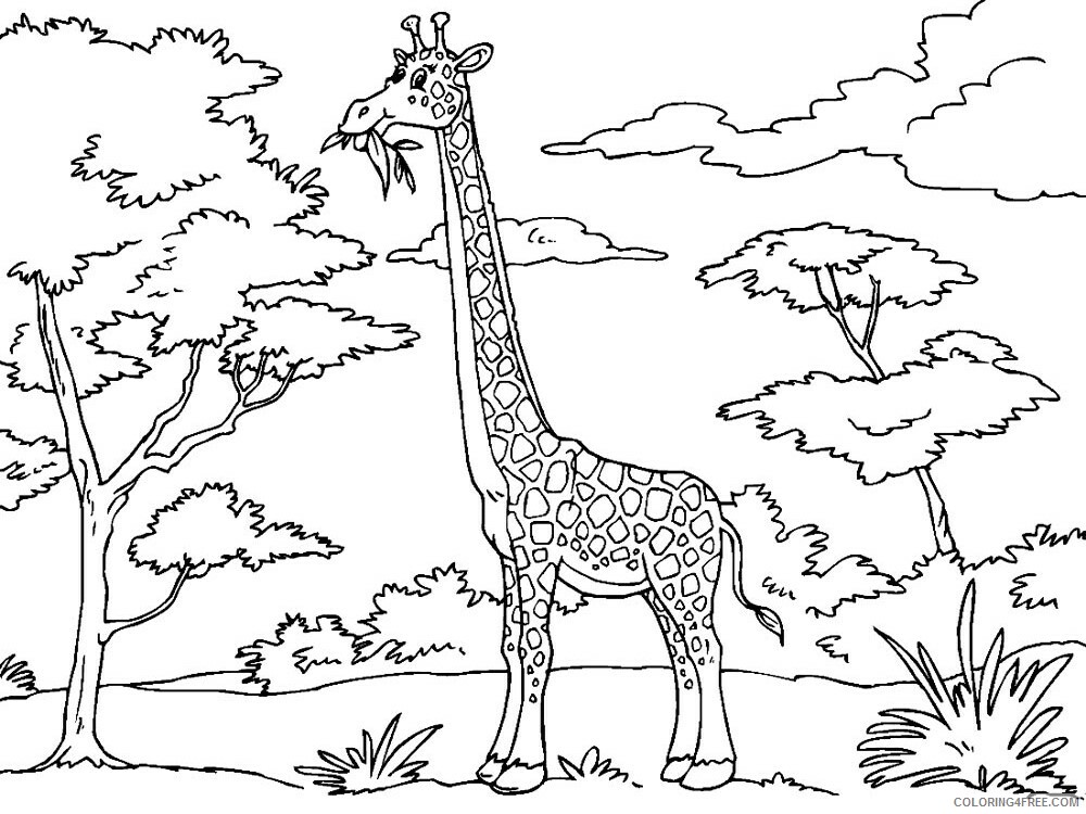 African Animals Coloring Pages Animal Printable Sheets African animals 2021 0005 Coloring4free
