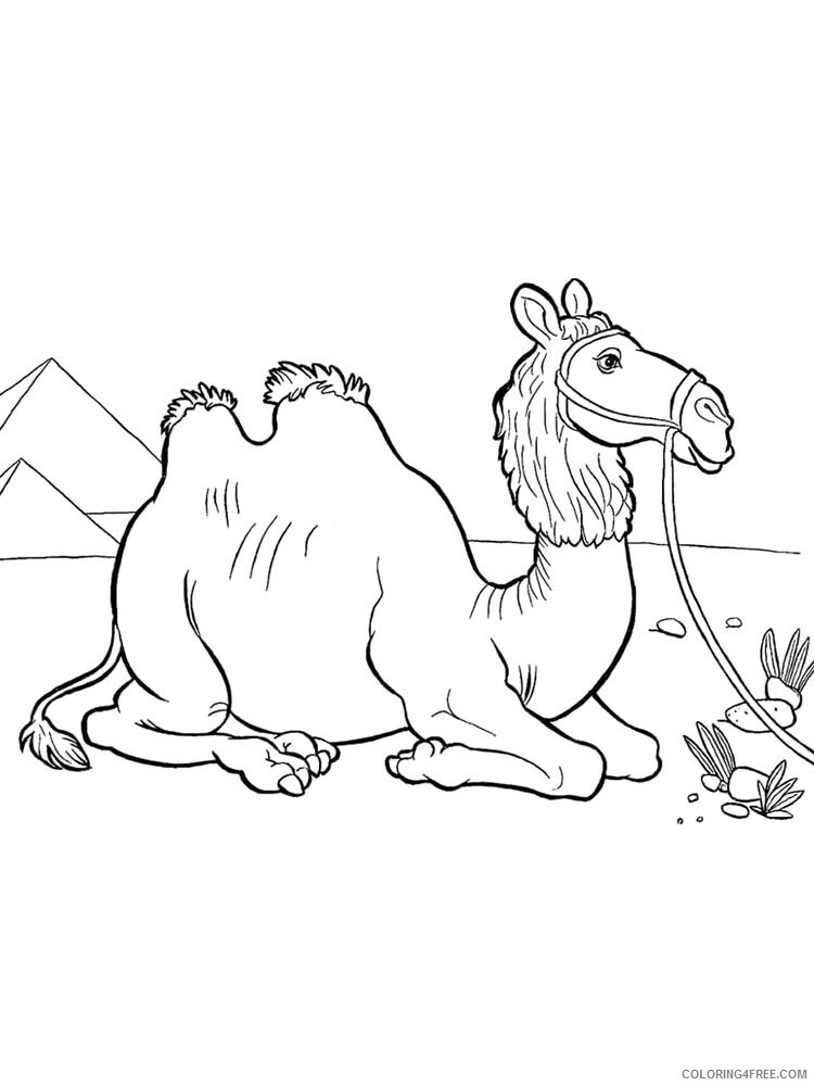 African Animals Coloring Pages Animal Printable Sheets African animals 2021 0009 Coloring4free