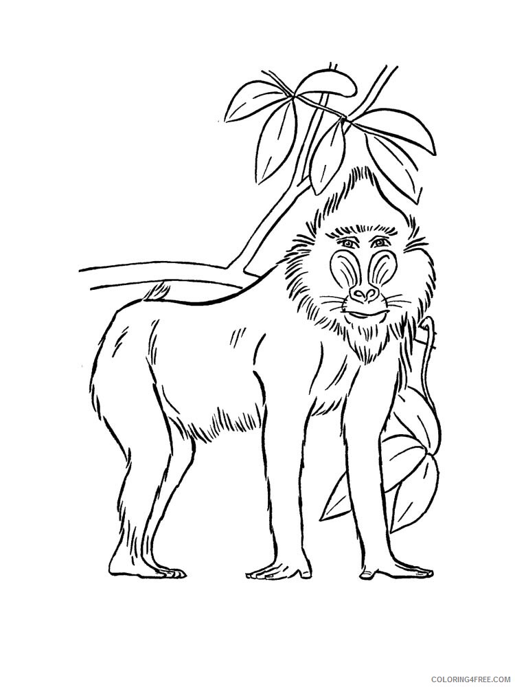 African Animals Coloring Pages Animal Printable Sheets African animals 2021 0011 Coloring4free
