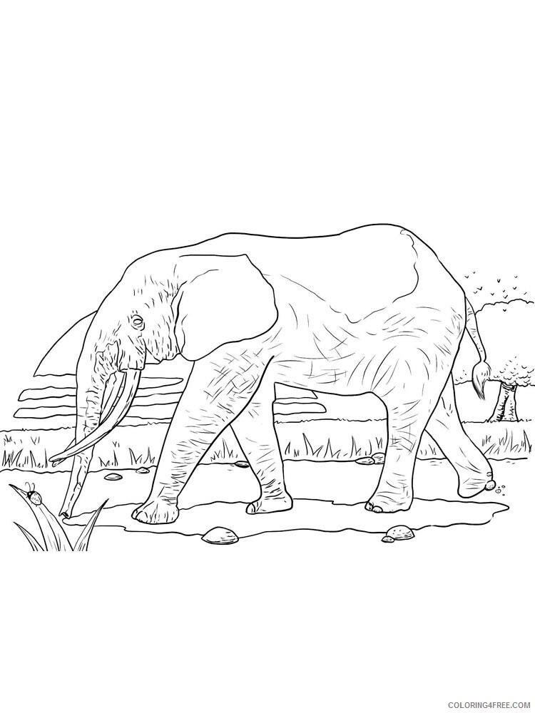 African Animals Coloring Pages Animal Printable Sheets African animals 2021 0020 Coloring4free