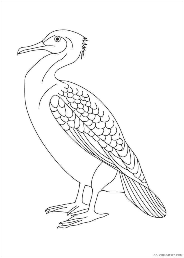Albatross Coloring Pages Animal Printable Sheets albatross 2021 0033 Coloring4free