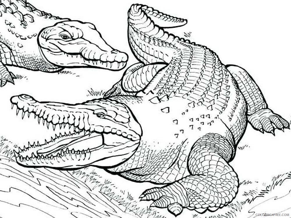 Alligator Coloring Pages Animal Printable Sheets Alligator 2 2021 0043 Coloring4free