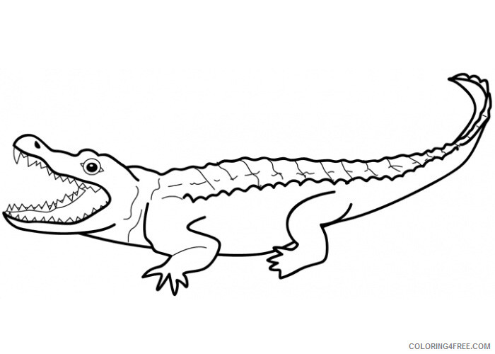 Alligator Coloring Pages Animal Printable Sheets Alligator 3 2021 0040 Coloring4free