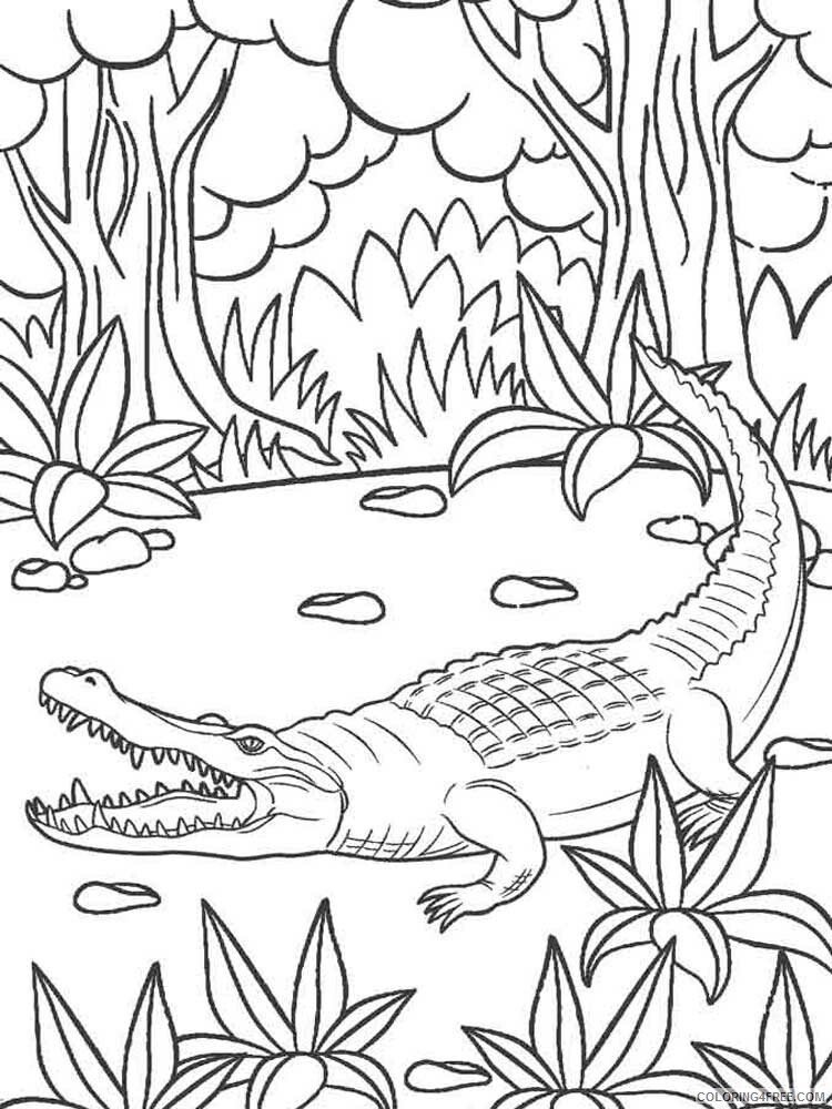 Alligator Coloring Pages Animal Printable Sheets Alligator 3 2021 0044 Coloring4free