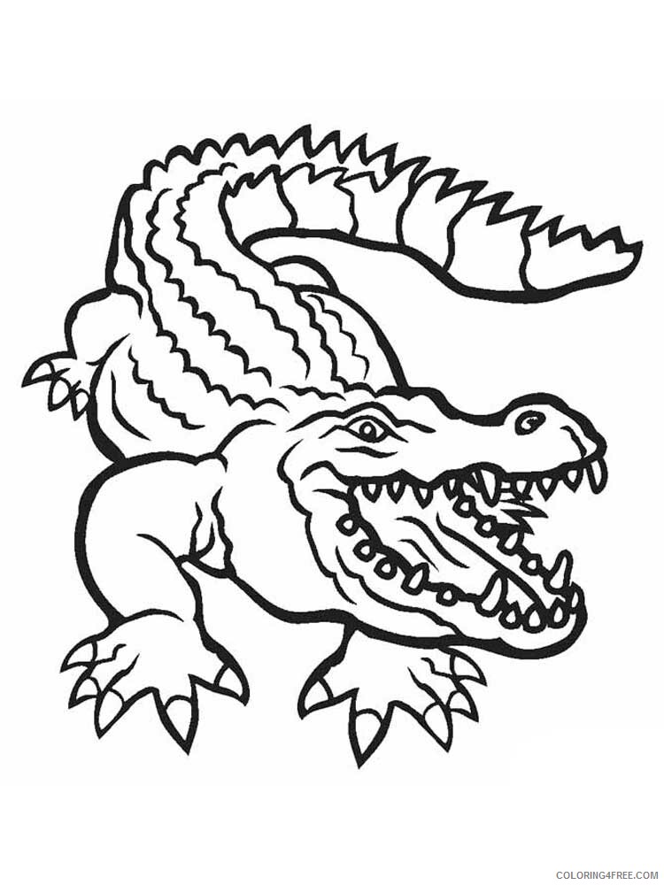 Alligator Coloring Pages Animal Printable Sheets Alligator 4 2021 0045 Coloring4free