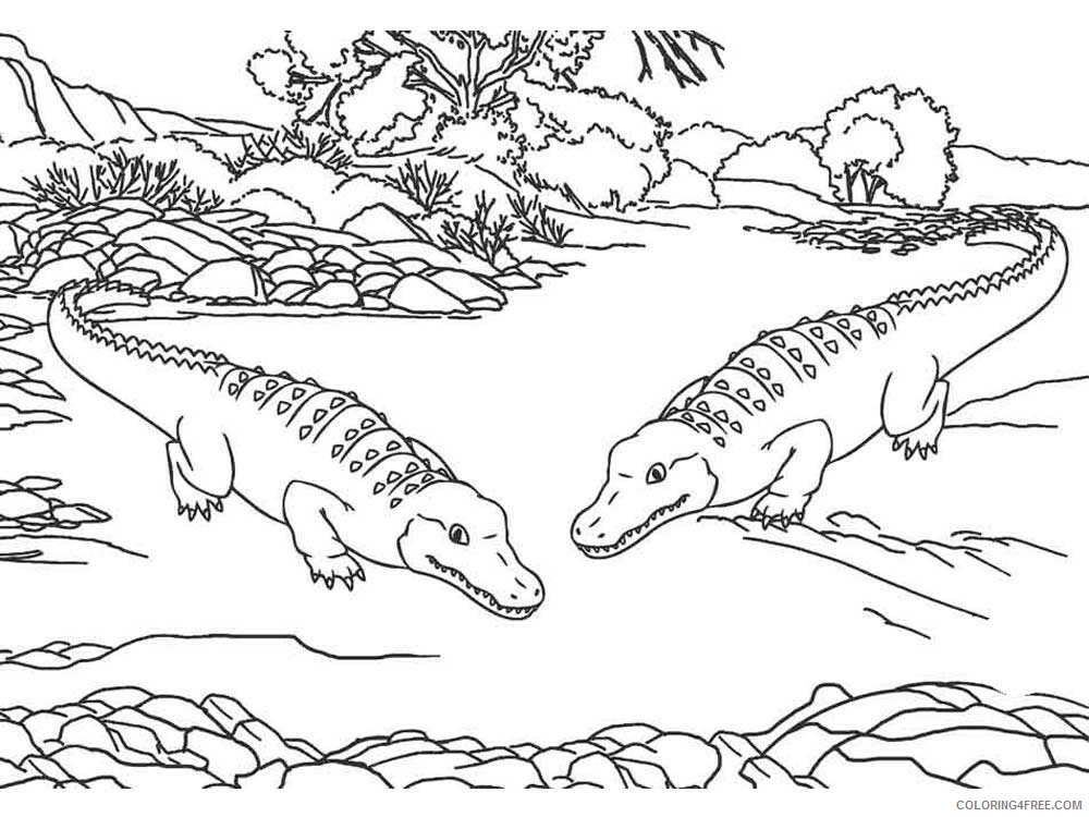 Alligator Coloring Pages Animal Printable Sheets Alligator 5 2021 0046 Coloring4free