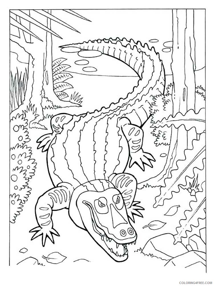 Alligator Coloring Pages Animal Printable Sheets Alligator 8 2021 0049 Coloring4free