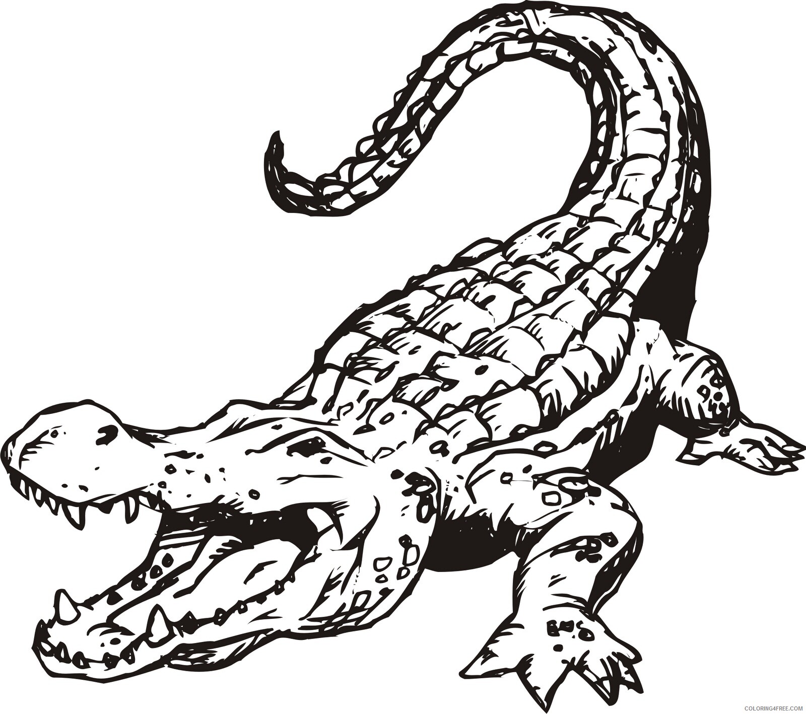 Alligator Coloring Pages Animal Printable Sheets Alligator Image 2021 0068 Coloring4free