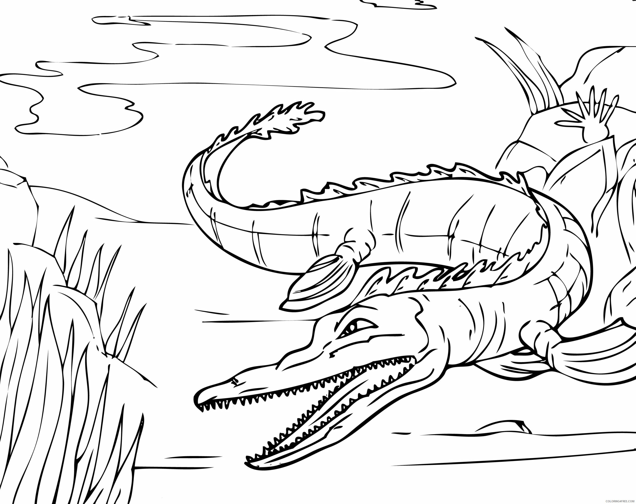 Alligator Coloring Pages Animal Printable Sheets Alligator Photo 2021 0042 Coloring4free