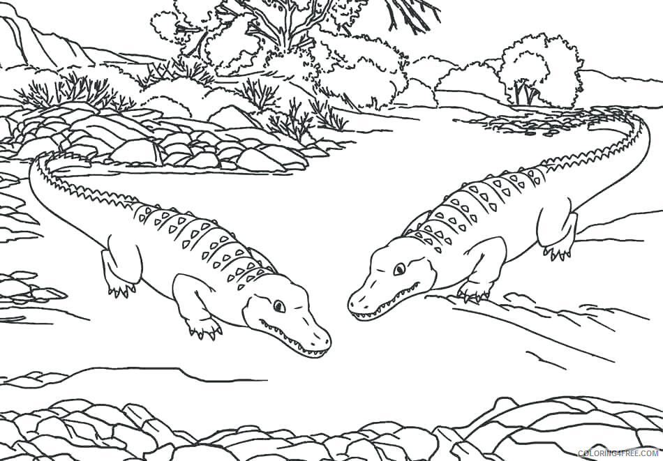 Alligator Coloring Pages Animal Printable Sheets Zoo Animals 2021 0059 Coloring4free