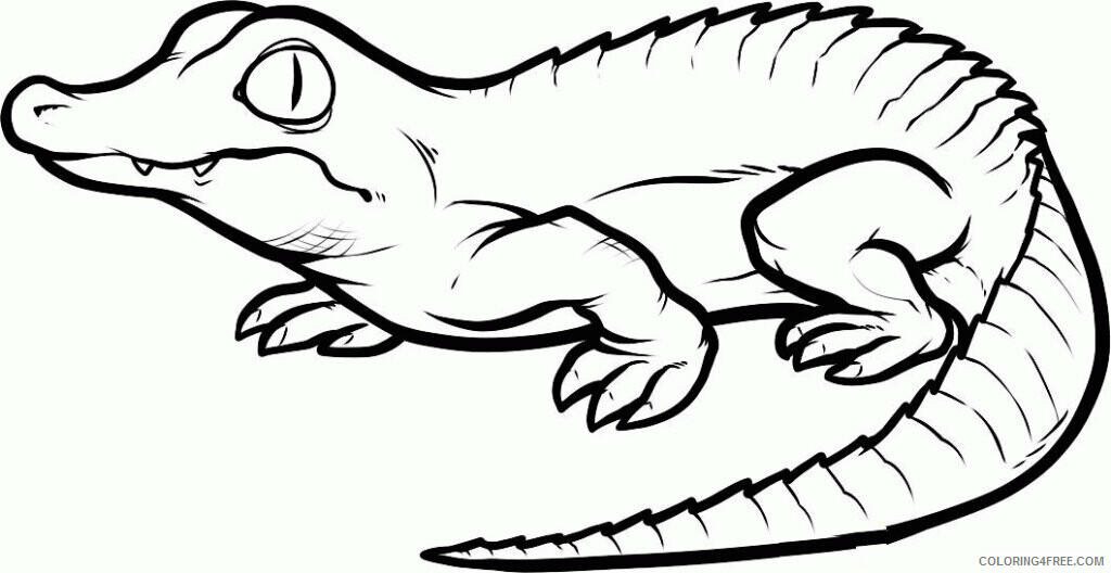 Alligator Coloring Sheets Animal Coloring Pages Printable 2021 0049 Coloring4free