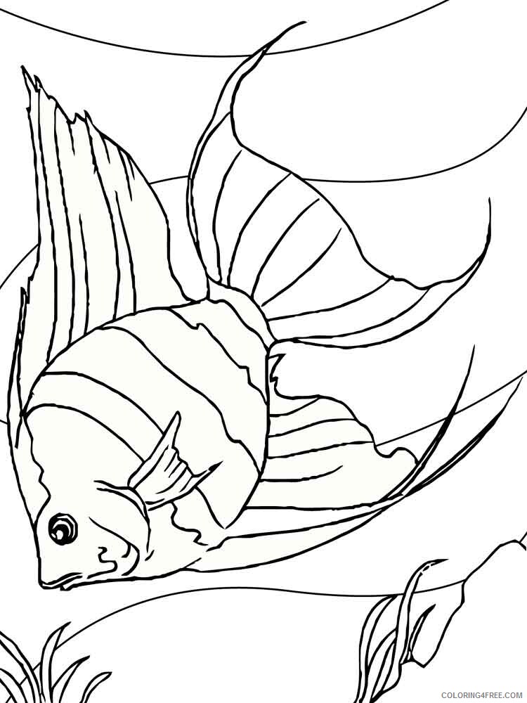 Angelfish Coloring Pages Animal Printable Sheets Angelfish 3 2021 0074 Coloring4free