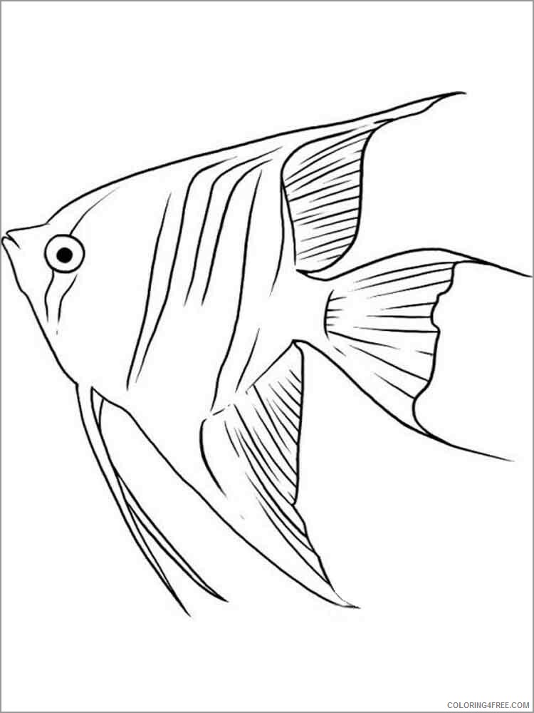 Angelfish Coloring Pages Animal Printable Sheets queen angelfish 2021 0077 Coloring4free