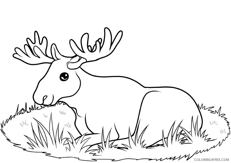 Animal Coloring Sheets Animal Coloring Pages Printable 2021 0143 Coloring4free