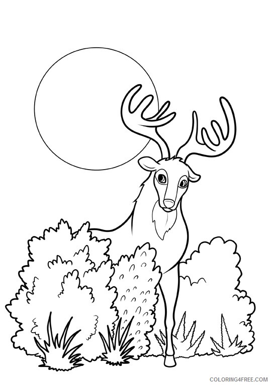 Animal Coloring Sheets Animal Coloring Pages Printable 2021 0145 Coloring4free