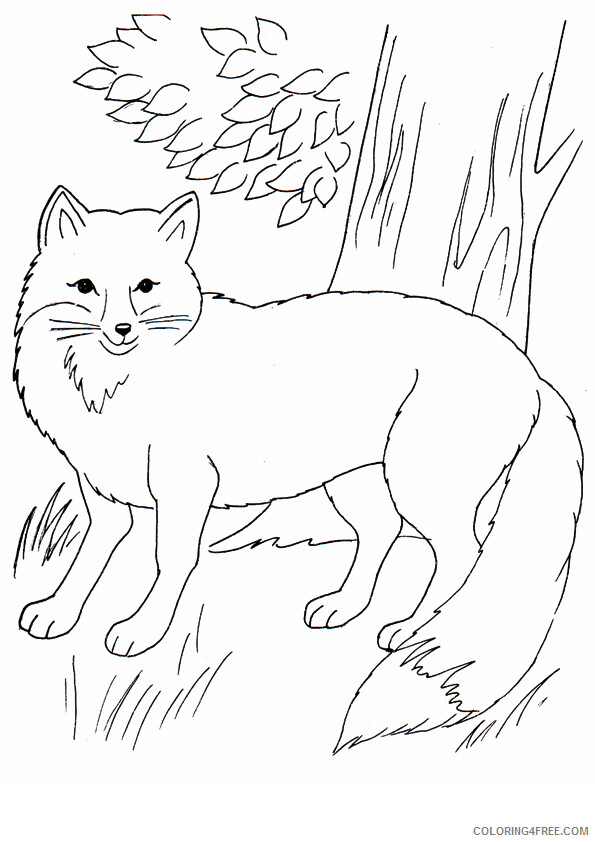 Animal Coloring Sheets Animal Coloring Pages Printable 2021 0179 Coloring4free