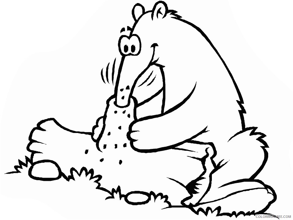 Anteater Coloring Pages Animal Printable Sheets anteater2 2021 0078 Coloring4free
