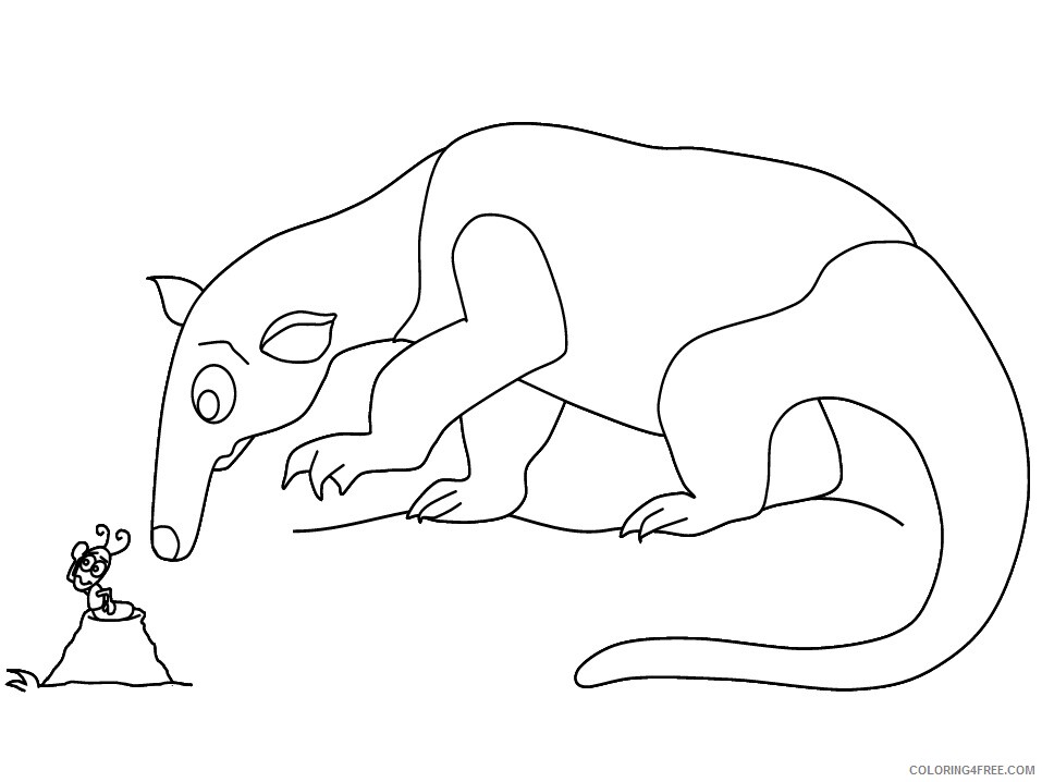 Anteater Coloring Pages Animal Printable Sheets anteater4 2021 0079 Coloring4free