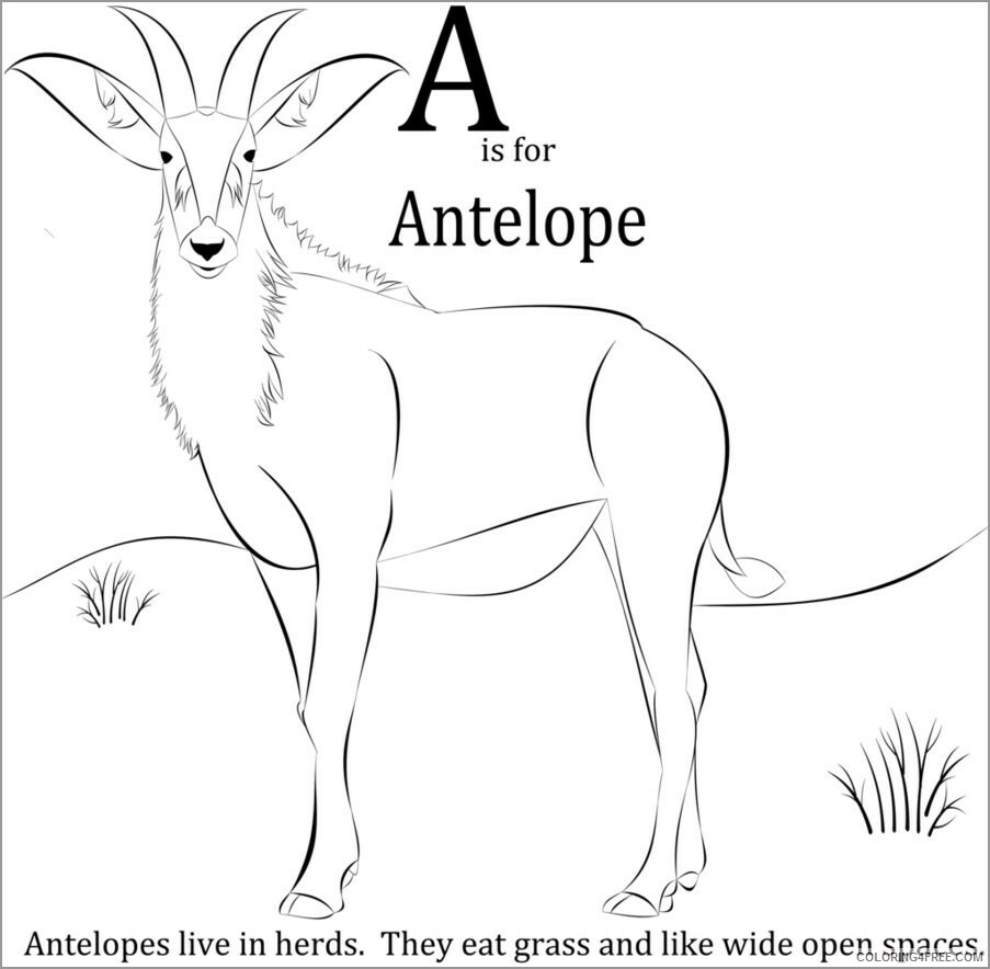 Antelope Coloring Pages Animal Printable Sheets a for antelope 2021 0082 Coloring4free