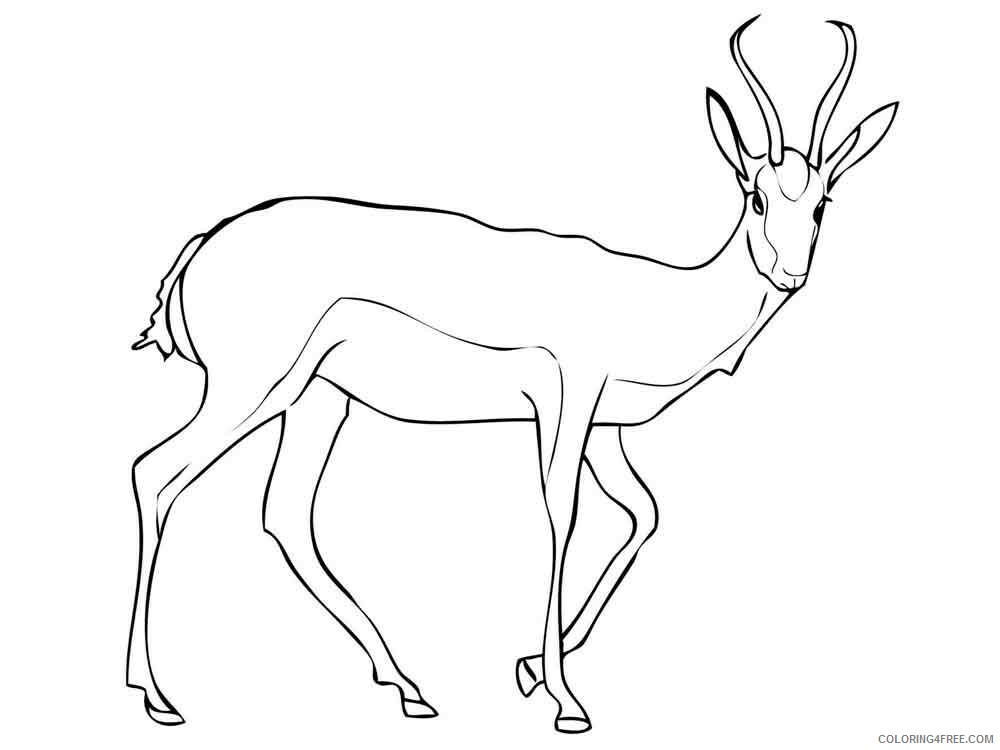 Antelope Coloring Pages Animal Printable Sheets antelope 15 2021 0086 Coloring4free