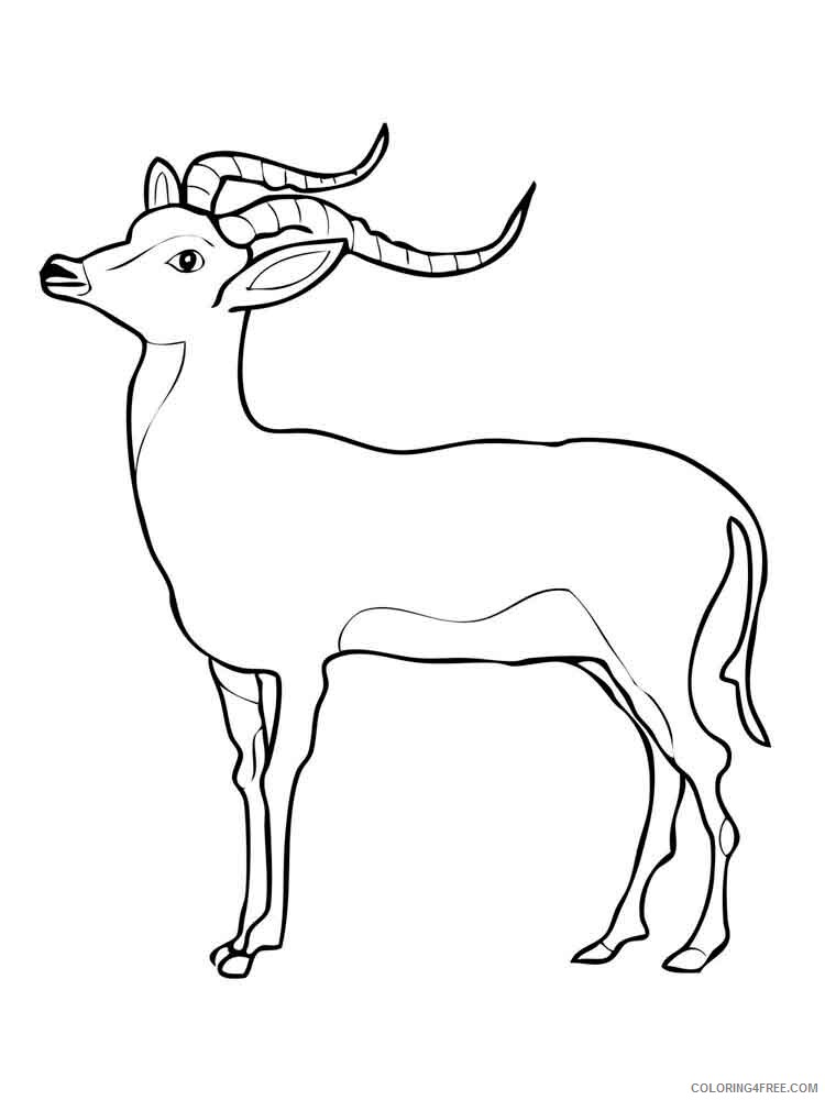 Antelope Coloring Pages Animal Printable Sheets antelope 4 2021 0089 Coloring4free