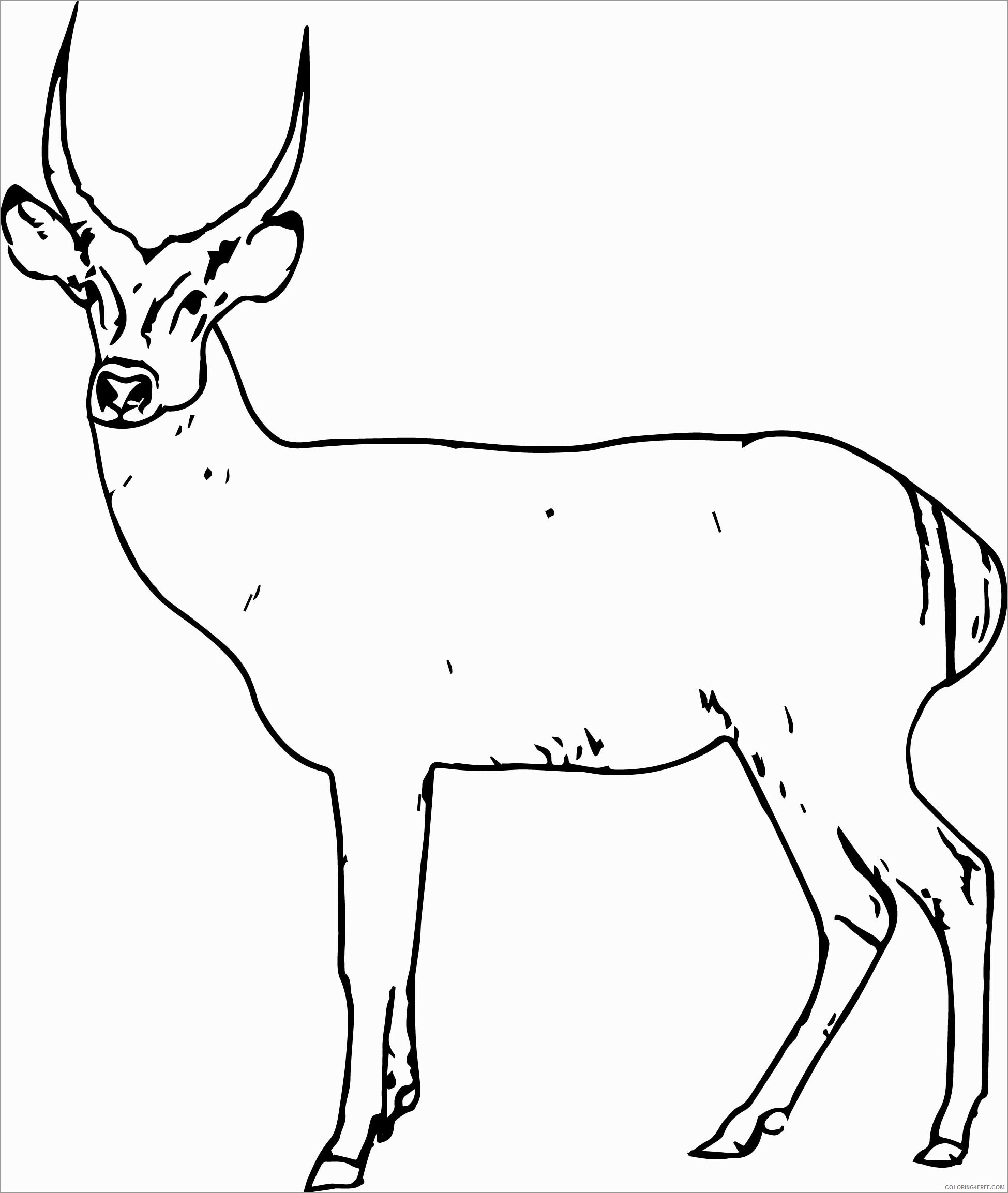 Antelope Coloring Pages Animal Printable Sheets antelope spotted deer 2021 0092 Coloring4free