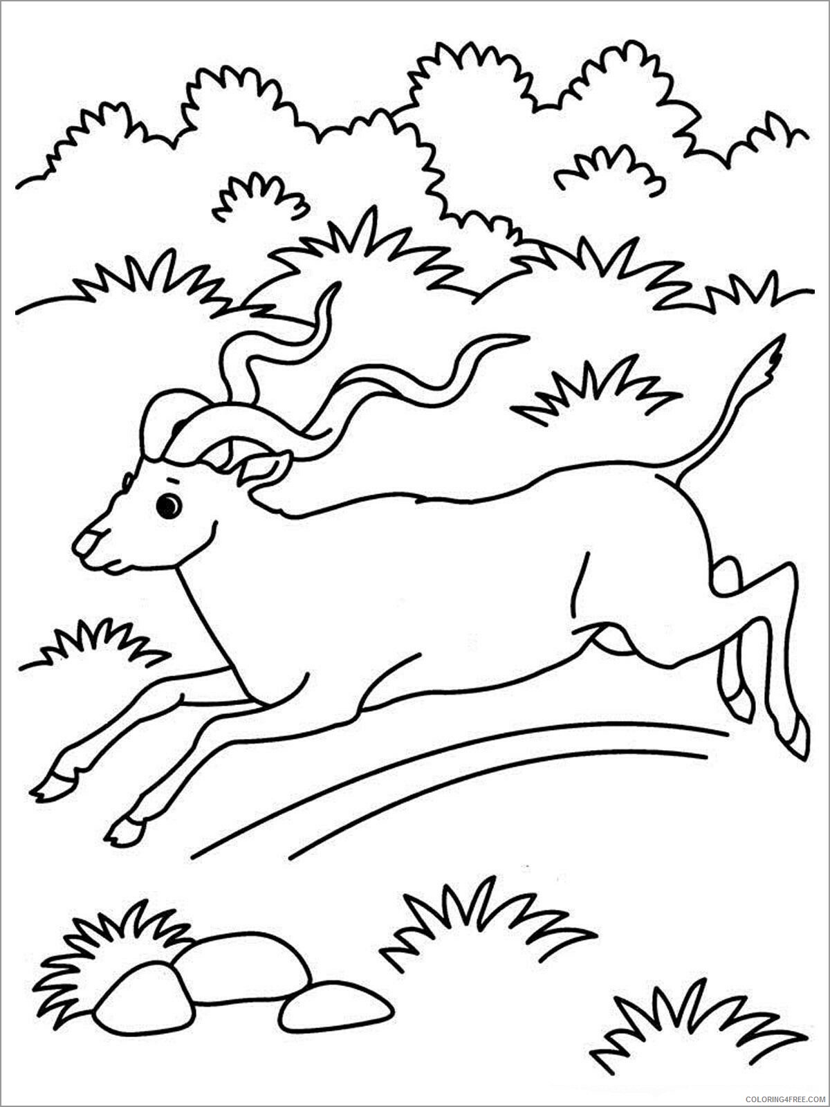 Antelope Coloring Pages Animal Printable Sheets running antelope 2021 0095 Coloring4free