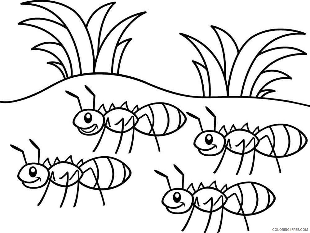 Ants Coloring Pages Animal Printable Sheets Ants 1 2021 0102 Coloring4free
