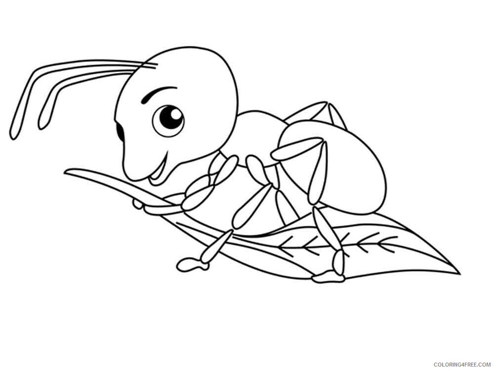 Ants Coloring Pages Animal Printable Sheets Ants 14 2021 0103 Coloring4free