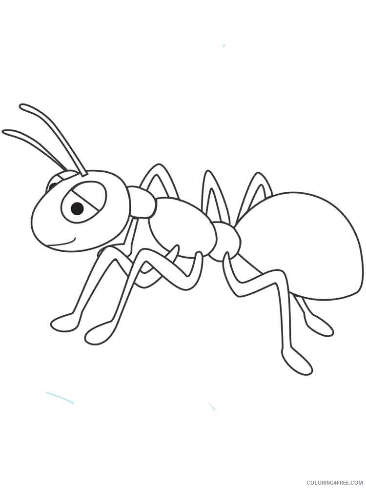 Ants Coloring Pages Animal Printable Sheets Ants 20 2021 0108 Coloring4free