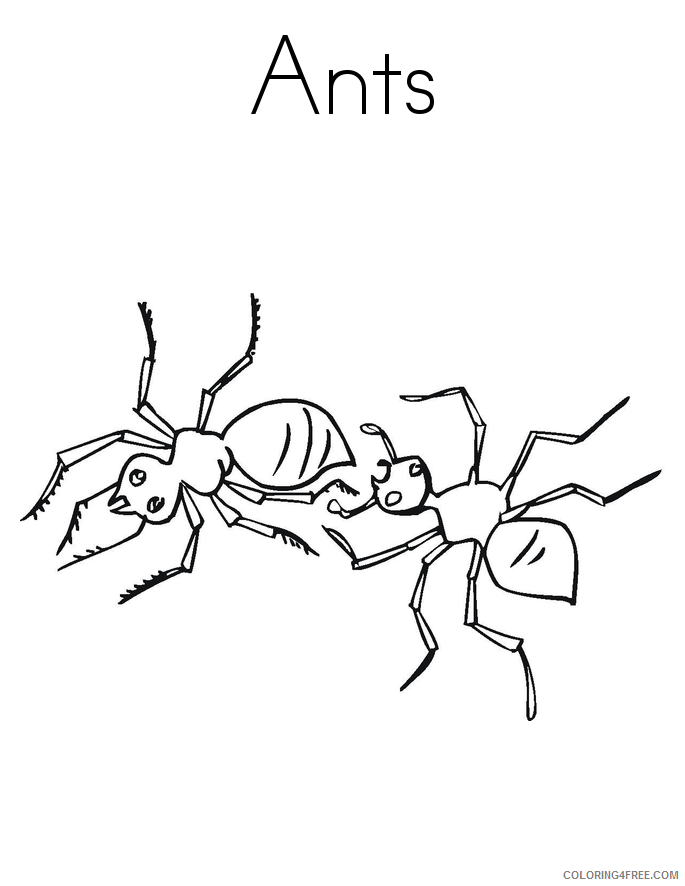 Ants Coloring Pages Animal Printable Sheets Ants 2021 0101 Coloring4free