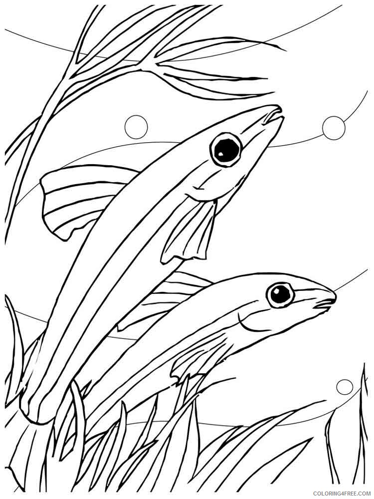 Aquarium Fish Coloring Pages Animal Printable Sheets Aquarium Fish 10 2021 0112 Coloring4free