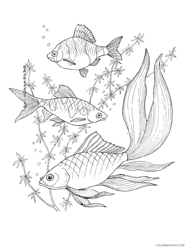 Aquarium Fish Coloring Pages Animal Printable Sheets Aquarium Fish 2 2021 0116 Coloring4free
