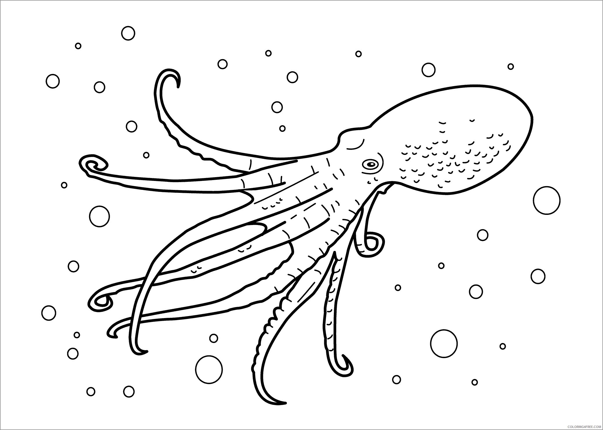 Aquatic Animals Coloring Pages Animal Printable Sheets octopus 2021 0121 Coloring4free
