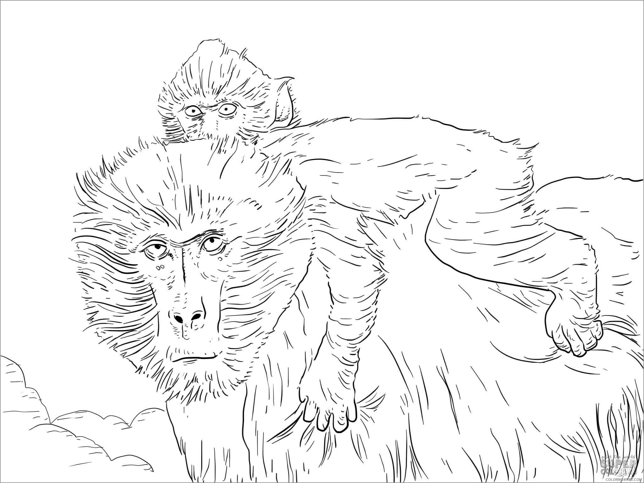 Baby Animals Coloring Pages Animal Printable Sheets baboon moms baby 2021 0131 Coloring4free