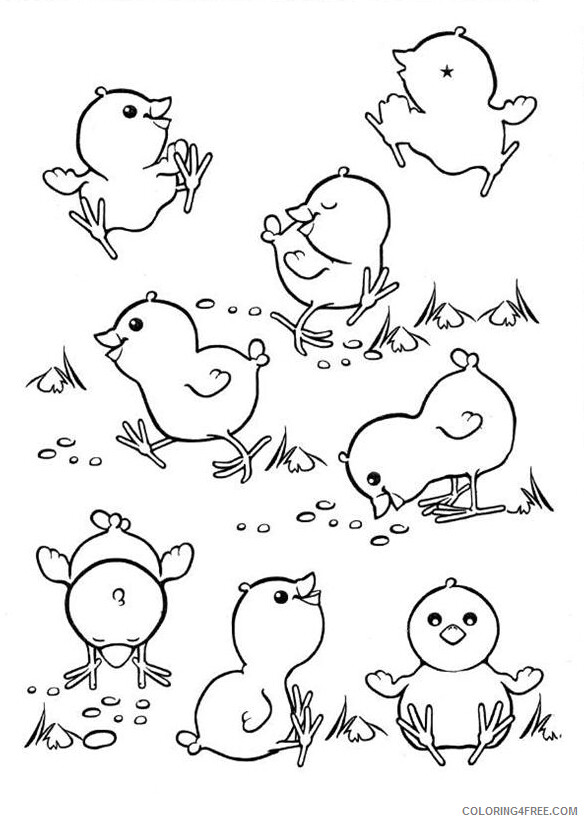 Baby Chick Coloring Pages Animal Printable Sheets Baby Chicks 2021 0152 Coloring4free