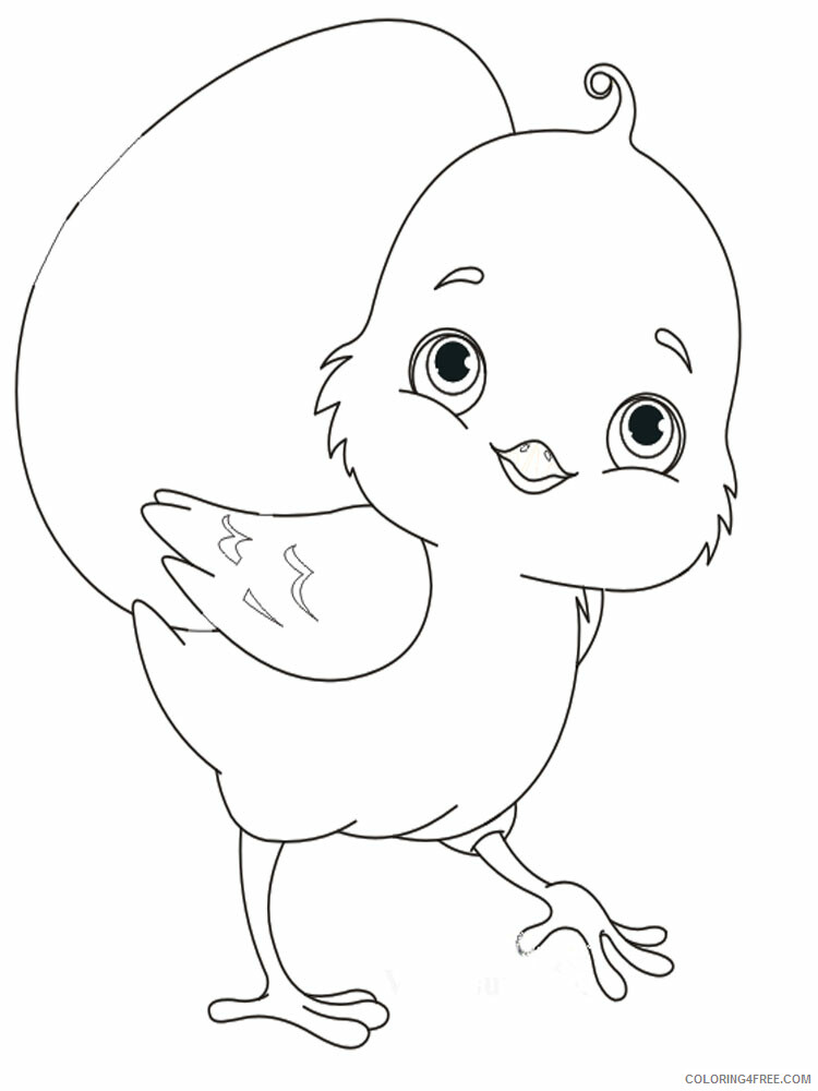 Baby Chick Coloring Pages Animal Printable Sheets animals baby chick 1 2021 0136 Coloring4free