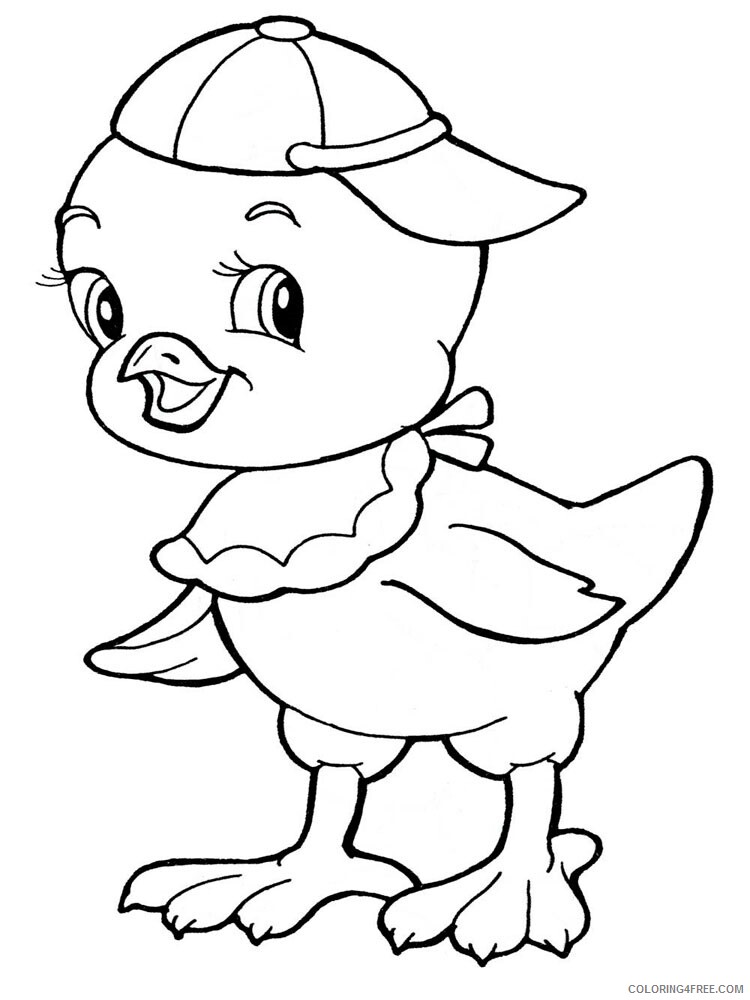 Baby Chick Coloring Pages Animal Printable Sheets animals baby chick 2 2021 0141 Coloring4free