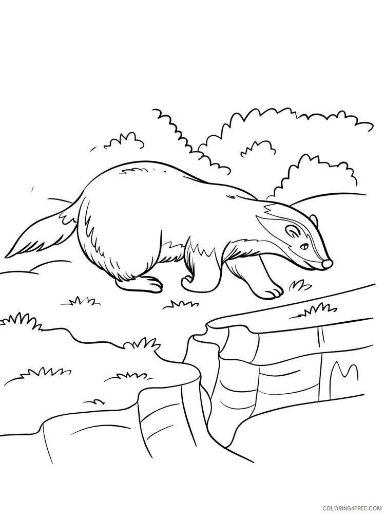 Badger Coloring Pages Animal Printable Sheets badger 10 2021 0155 Coloring4free