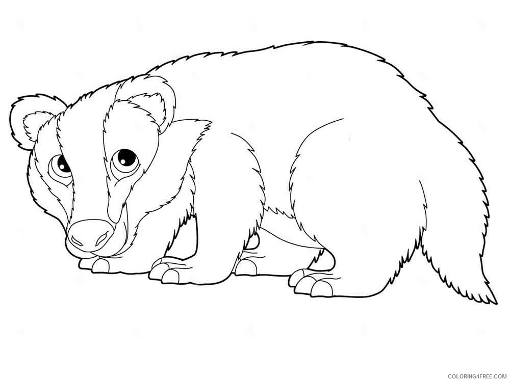 Badger Coloring Pages Animal Printable Sheets badger 6 2021 0157 Coloring4free