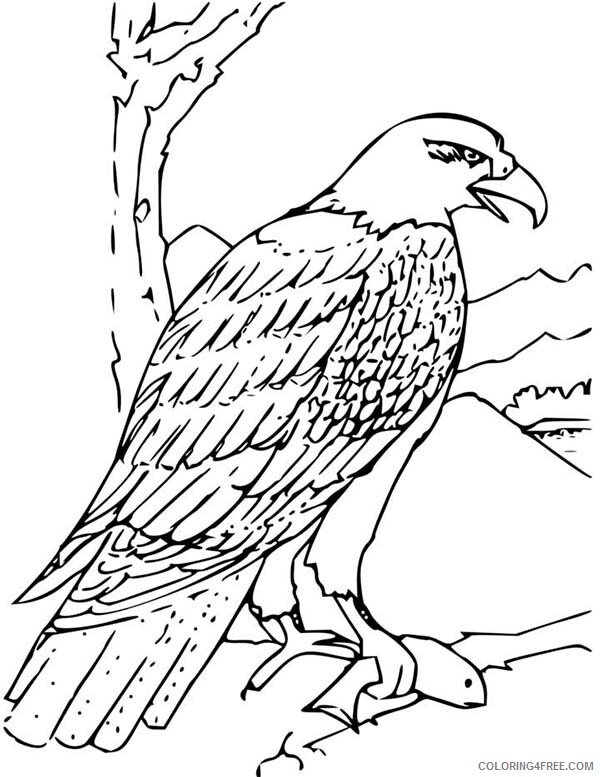 Bald Eagle Coloring Pages Animal Printable Sheets Bald Eagle Catch Fish 2021 0171 Coloring4free