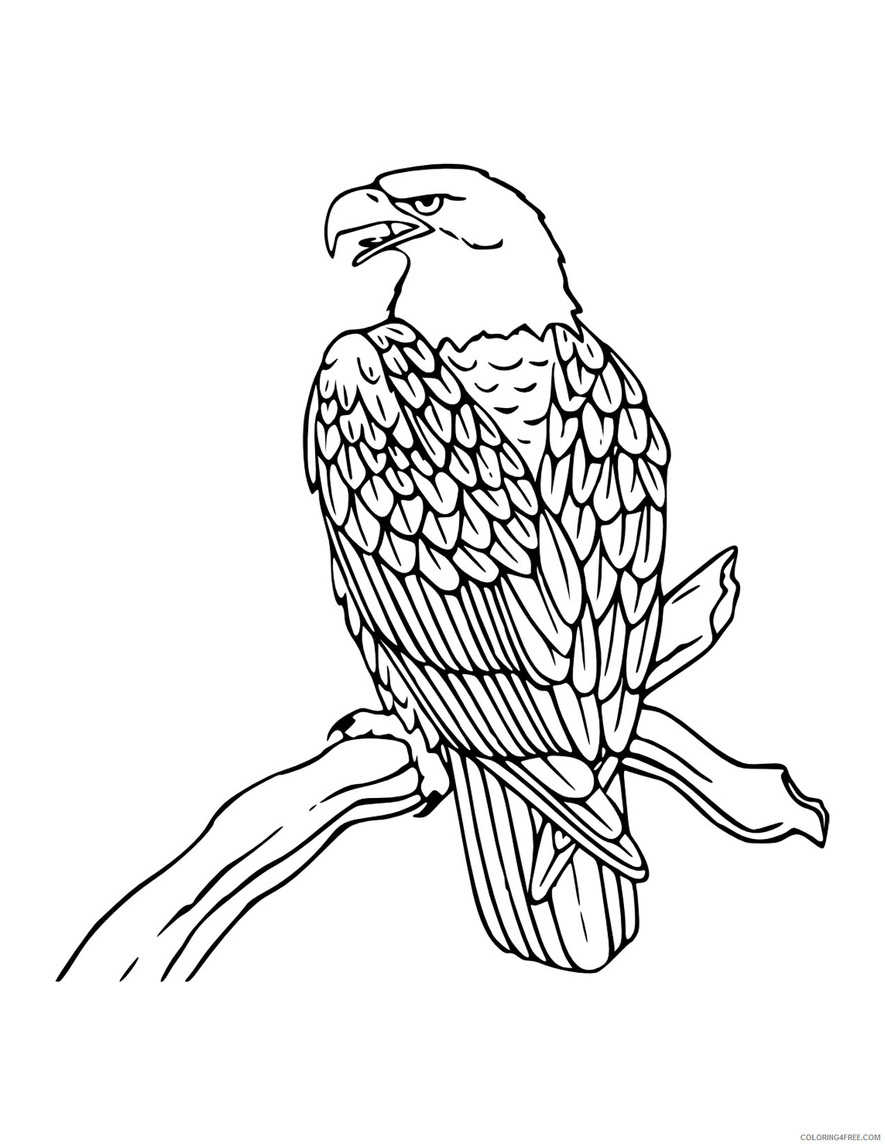Bald Eagle Coloring Pages Animal Printable Sheets Bald Eagle For Kids 2021 0163 Coloring4free