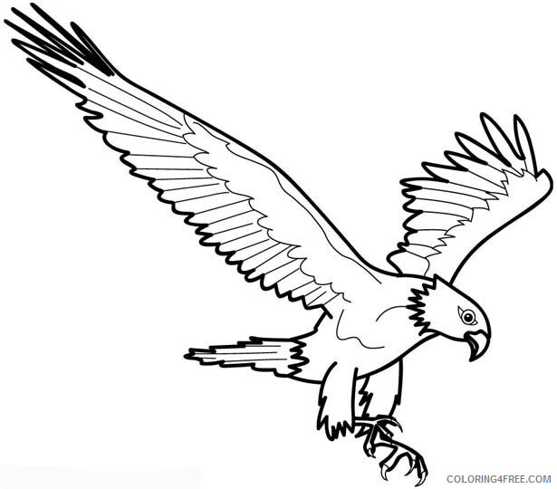 Bald Eagle Coloring Pages Animal Printable Sheets Bald Eagle Picture to 2021 0172 Coloring4free