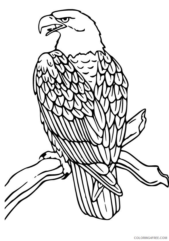 Bald Eagle Coloring Pages Animal Printable Sheets Bald Eagle Sheets 2021 0167 Coloring4free