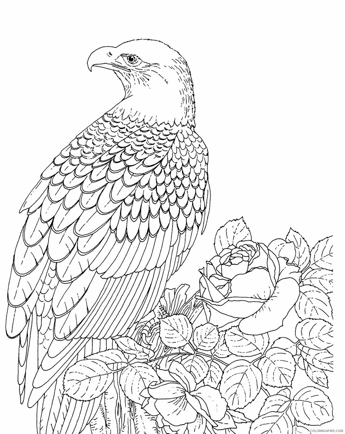 Bald Eagle Coloring Pages Animal Printable Sheets Free Bald Eagle 2021 0175 Coloring4free