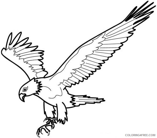Bald Eagle Coloring Pages Animal Printable Sheets Near Extinction 2021 0180 Coloring4free