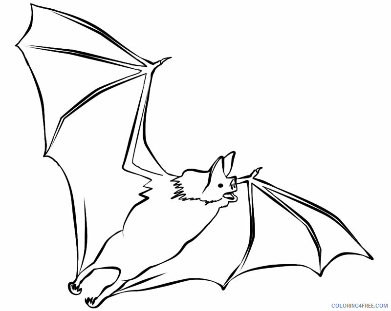 Bat Coloring Pages Animal Printable Sheets Bat 2021 0202 Coloring4free