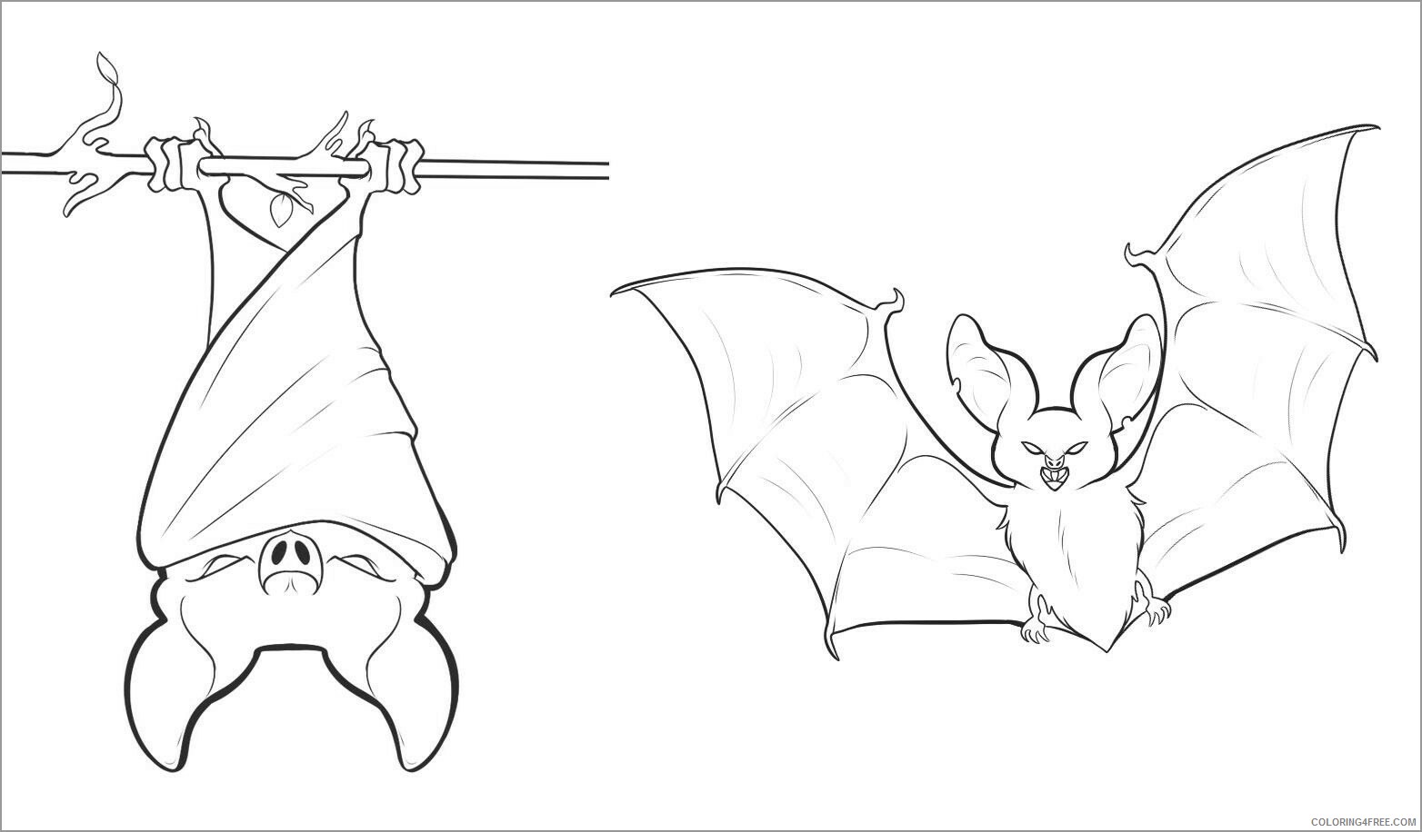 Bat Coloring Pages Animal Printable Sheets cute bat 2021 0229 Coloring4free