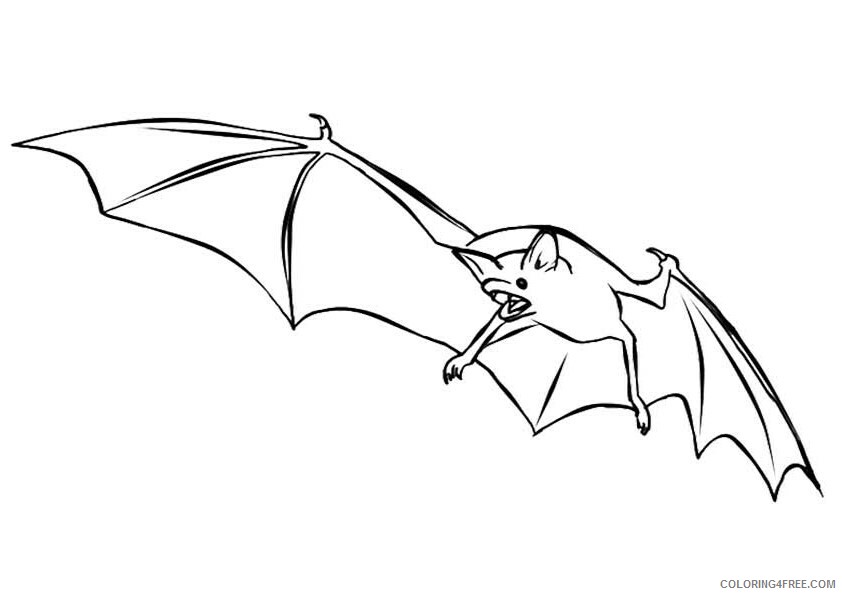 Bat Coloring Sheets Animal Coloring Pages Printable 2021 0210 Coloring4free