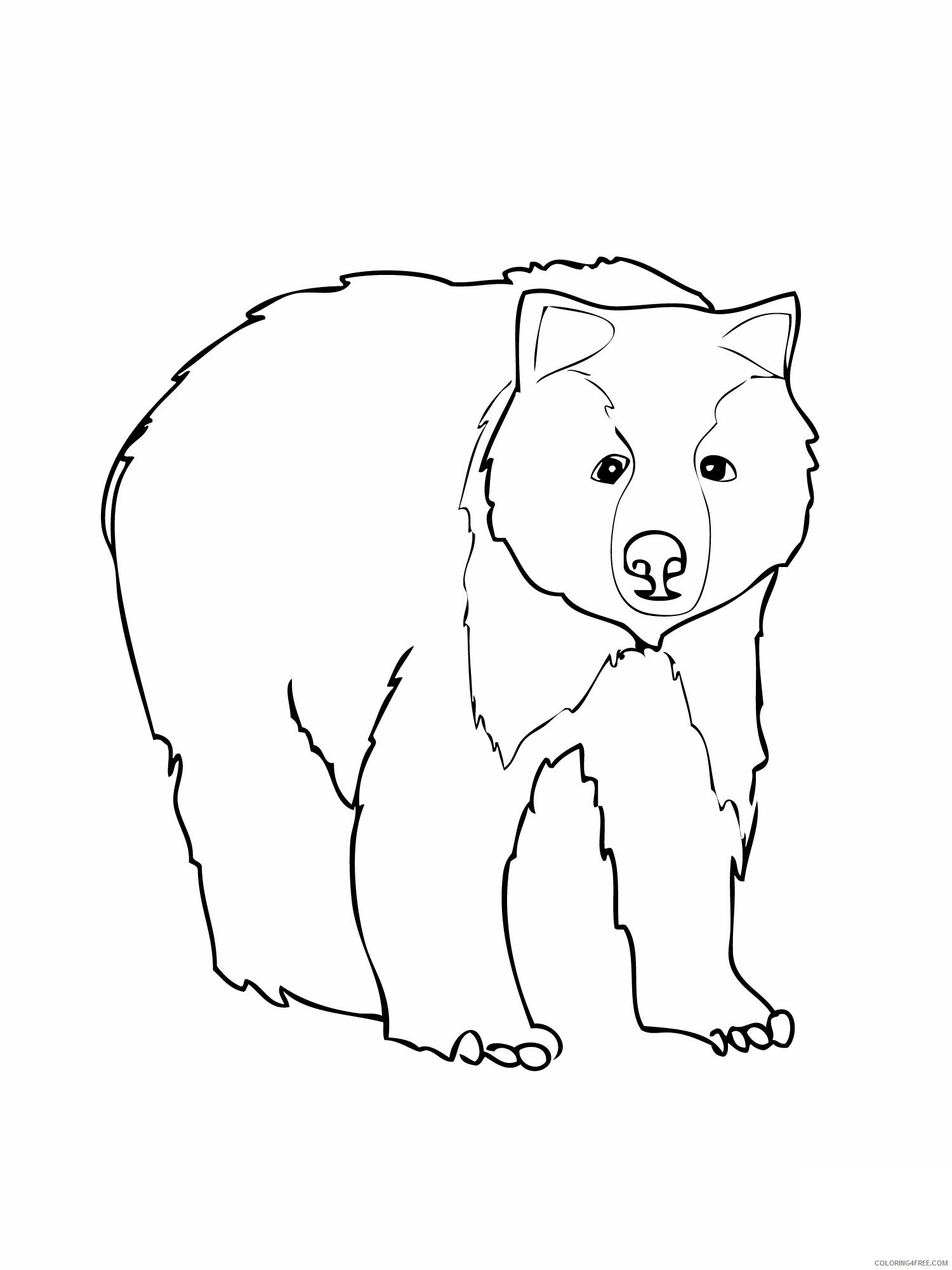 Bear Coloring Pages Animal Printable Sheets Bear 2021 0263 Coloring4free